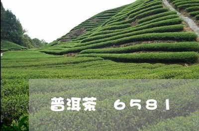 普洱茶 6581/2023041282615